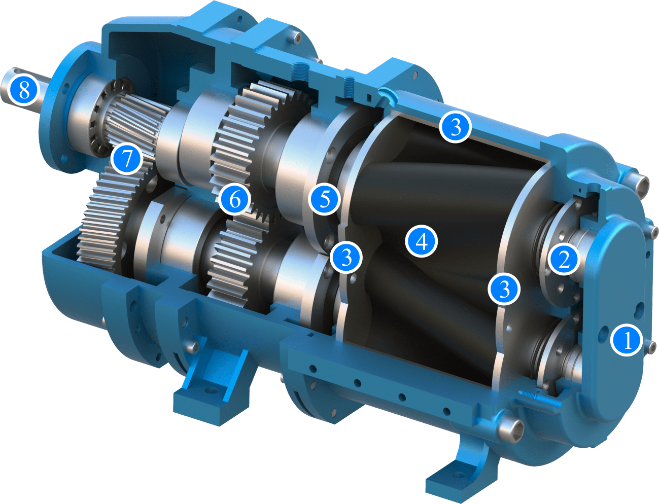 rotary lobe pump structure​